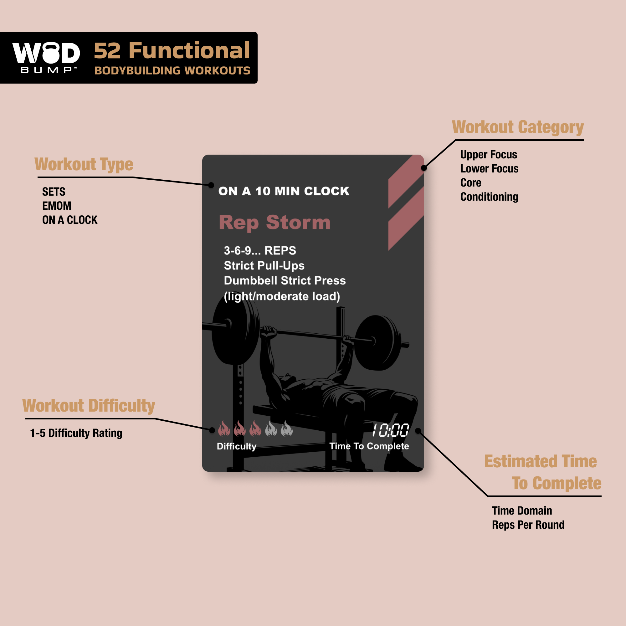 Functional Bodybuilding Workout Deck